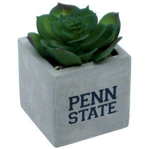 faux potted succulent with Penn State on planter